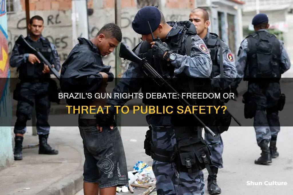 does brazil have the right to bear arms