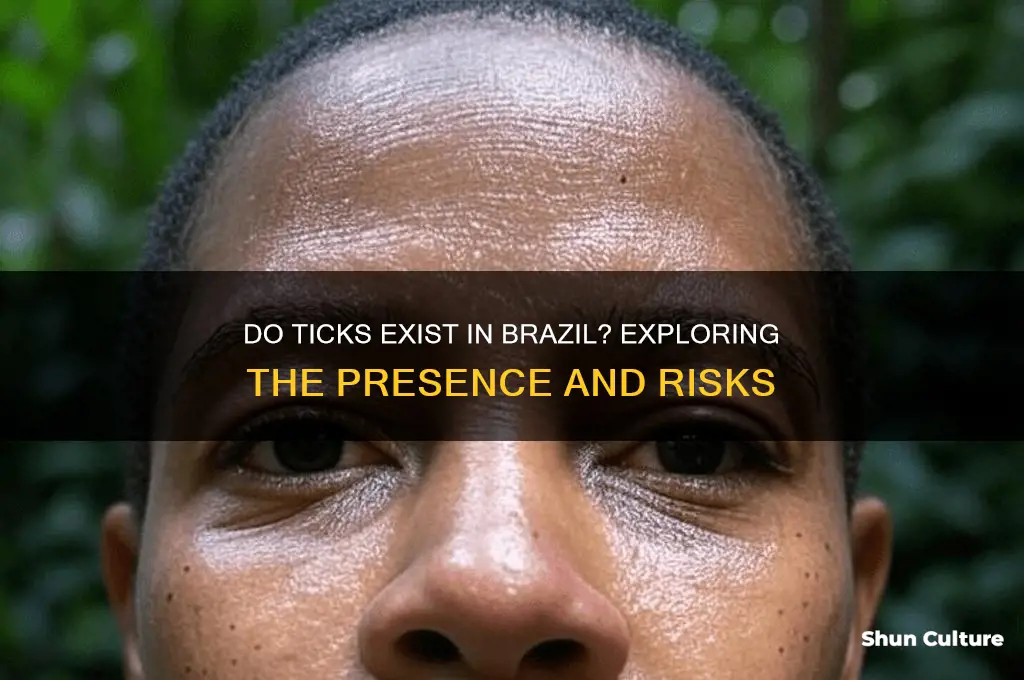 does brazil have tick