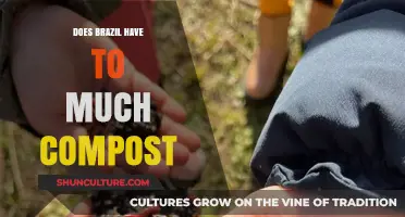 Brazil's Compost Conundrum: Is Excess Organic Waste a Problem?