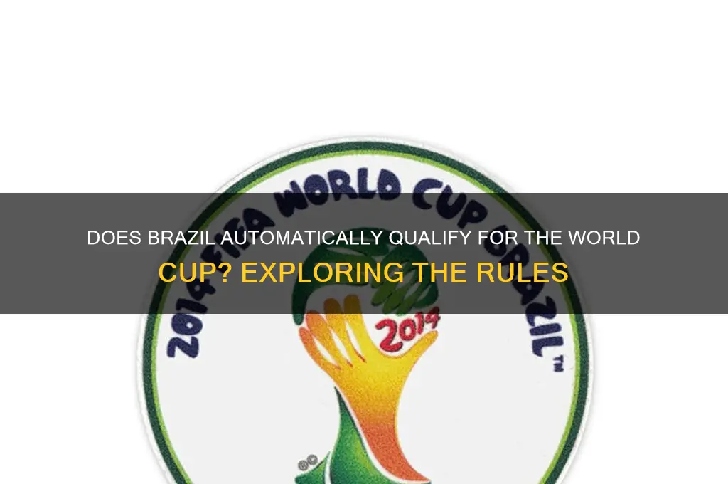 does brazil have to qualify for the world cup