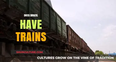 Exploring Brazil's Railway Network: Does the Country Have Trains?