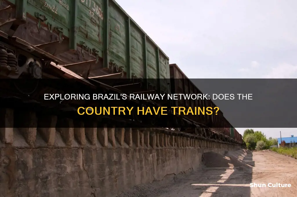 does brazil have trains