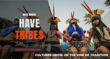 Exploring Brazil's Indigenous Tribes: Existence, Culture, and Modern Challenges