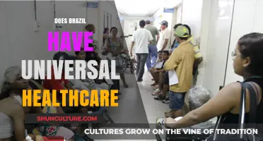 Brazil's Healthcare System: Universal Access or Limited Coverage?