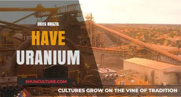 Does Brazil Have Uranium? Exploring the Country's Nuclear Resources