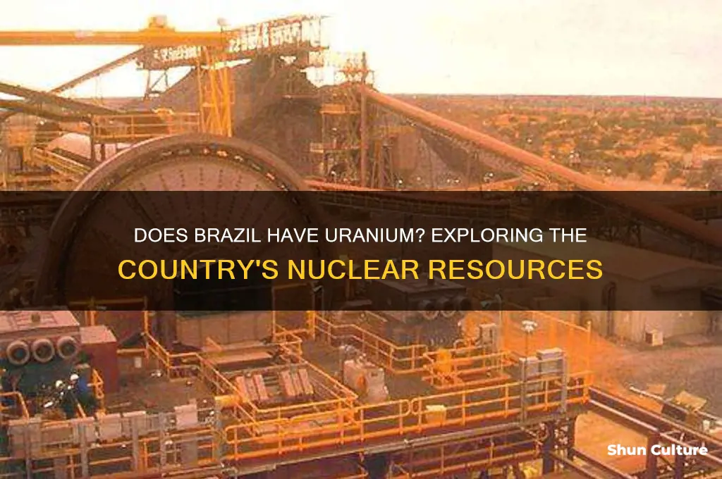 does brazil have uranium