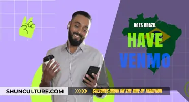 Does Brazil Have Venmo? Exploring Local Payment Alternatives