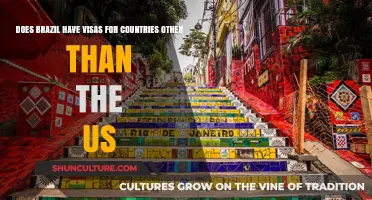 Brazil's Visa Policies: Beyond the US, Who Needs a Visa?
