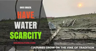 Brazil's Water Crisis: Scarcity, Challenges, and Sustainable Solutions Explored