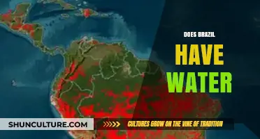 Exploring Brazil's Water Resources: Abundance, Challenges, and Sustainability Efforts