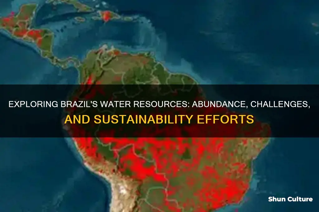 does brazil have water