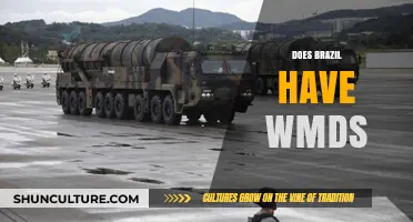 Brazil's Military Capabilities: Exploring the WMD Allegations and Facts
