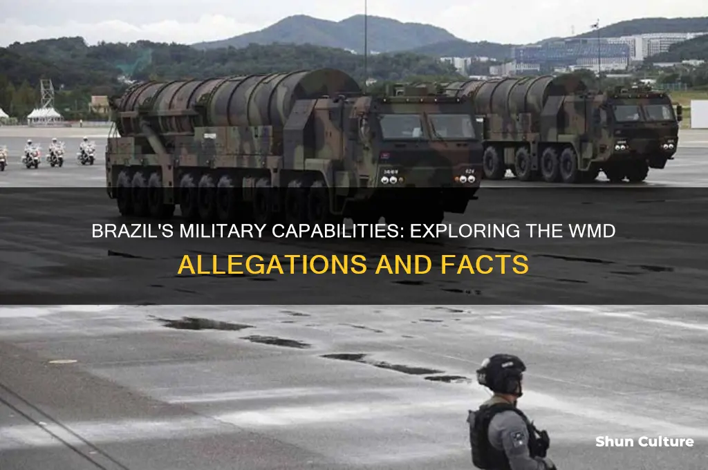 does brazil have wmds