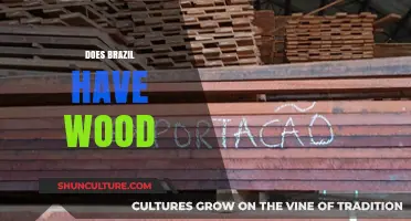 Exploring Brazil's Rich Timber Resources: Does Brazil Have Wood?