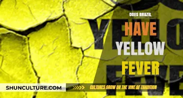 Does Brazil Have Yellow Fever? Understanding Risks and Prevention Tips
