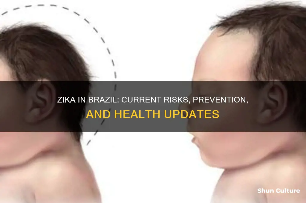 does brazil have zika
