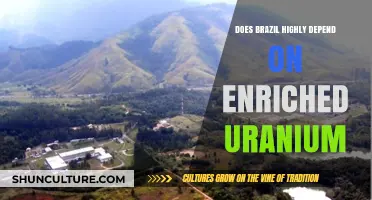 Brazil's Energy Reliance: How Crucial is Enriched Uranium?