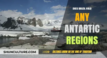 Brazil's Antarctic Presence: Exploring Territorial Claims and Scientific Endeavors