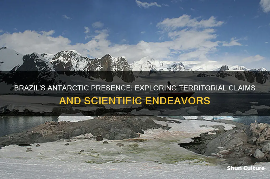 does brazil hold any antartic regions