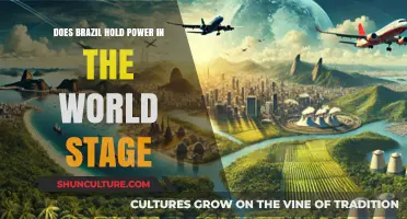 Brazil's Global Influence: Power Player or Regional Leader?