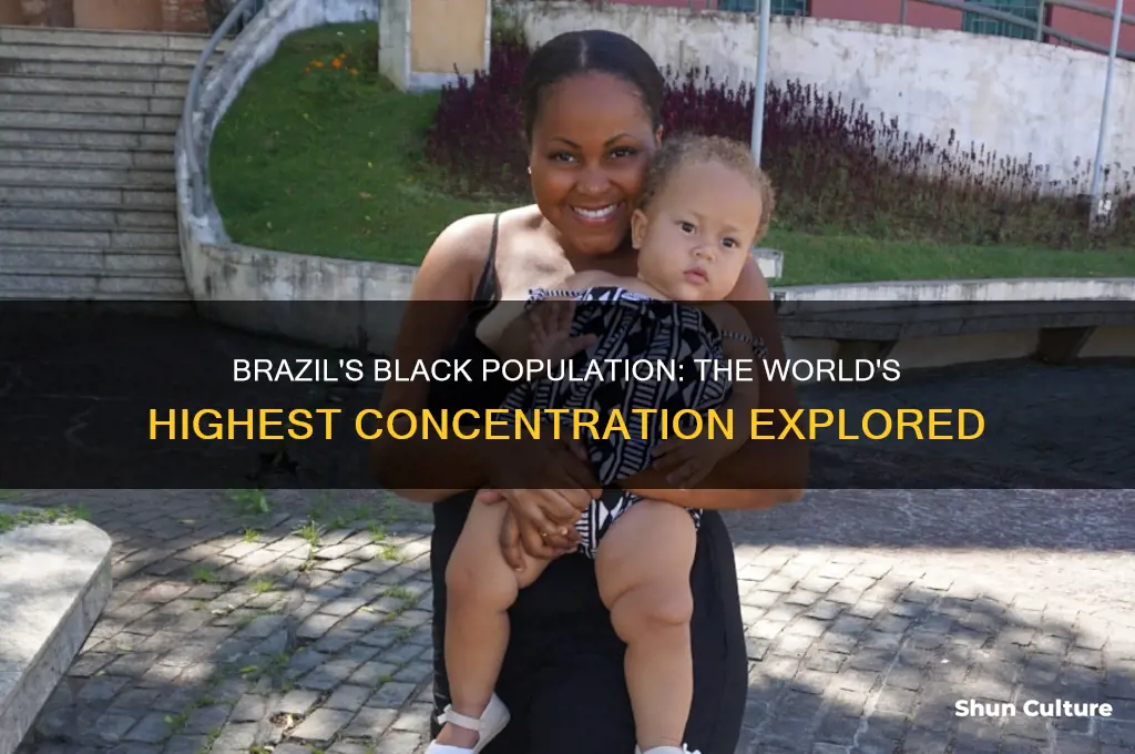 does brazil hold the highest contration of blacks