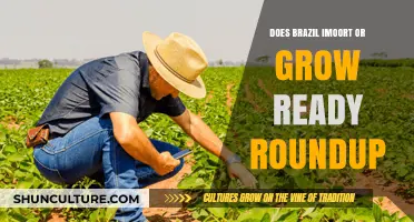 Brazil's Roundup Reliance: Importing or Growing Ready Crops?