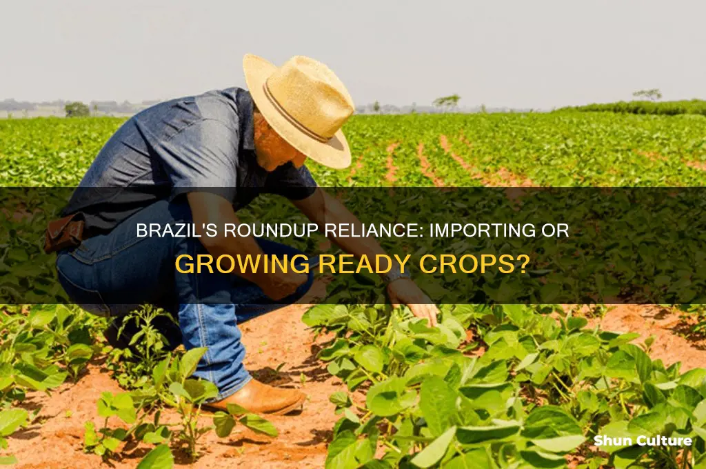 does brazil imoort or grow ready roundup