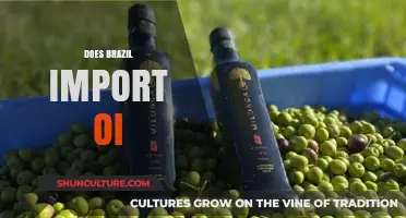 Brazil's Olive Oil Imports: A Comprehensive Analysis of Trade Trends