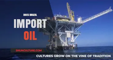 Does Brazil Import Oil? Exploring the Country's Energy Dependency