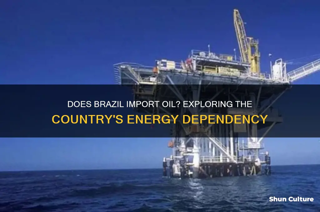 does brazil import oil