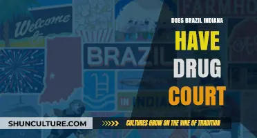 Exploring Brazil, Indiana's Drug Court: Availability and Impact on Community