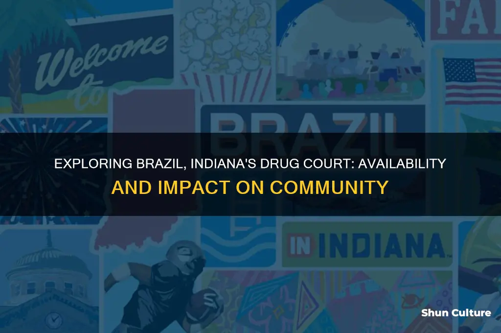 does brazil indiana have drug court