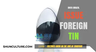 Does Brazil Issue Foreign Tin? Exploring the Country's Tin Export Policies