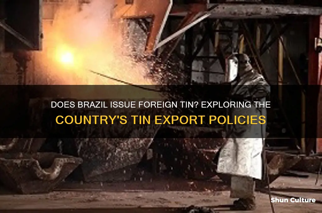 does brazil issue foreign tin