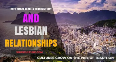 Brazil's Legal Recognition of Gay and Lesbian Relationships: An Overview