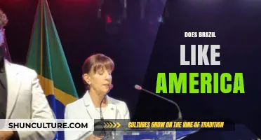Brazil-US Relations: Mutual Affection or Political Pragmatism?