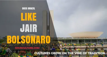 Brazil's Divide: Public Sentiment on Jair Bolsonaro's Leadership