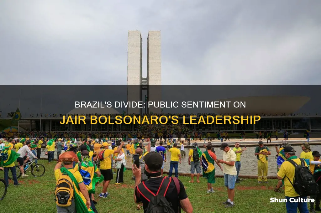 does brazil like jair bolsonaro