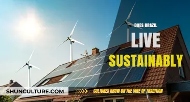 Brazil's Sustainability: Balancing Economic Growth with Environmental Preservation