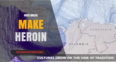 Does Brazil Produce Heroin? Uncovering the Truth Behind Drug Manufacturing