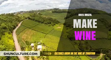 Exploring Brazil's Wine Scene: A Surprising South American Vintner