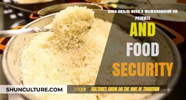 Brazil's Poverty and Food Security: Memorandum Needed for Sustainable Solutions