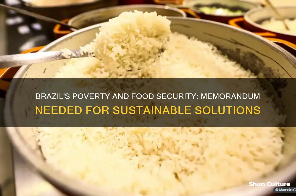 does brazil need a memorandum on poverty and food security