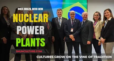 Brazil's Energy Future: Should Nuclear Power Plants Be Expanded?