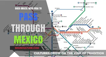 Brazil to Mexico: Visa Requirements for Transit Explained