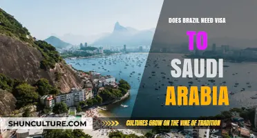 Brazil to Saudi Arabia: Visa Requirements Explained for Travelers