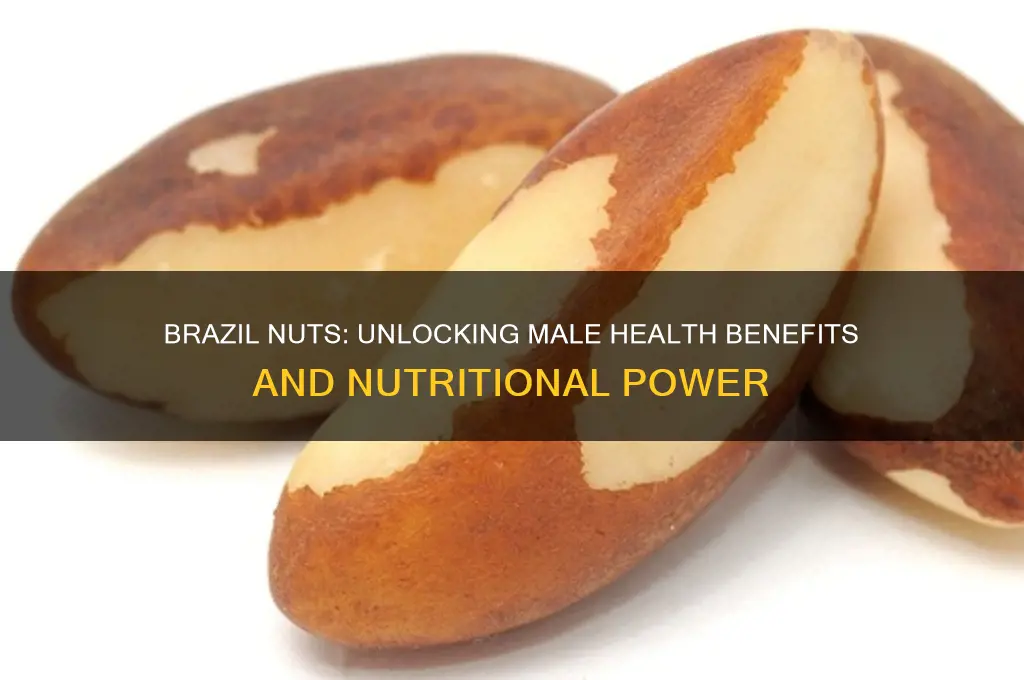 does brazil nut good for man