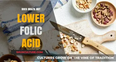 Brazil Nuts and Folic Acid: Unraveling the Nutritional Impact