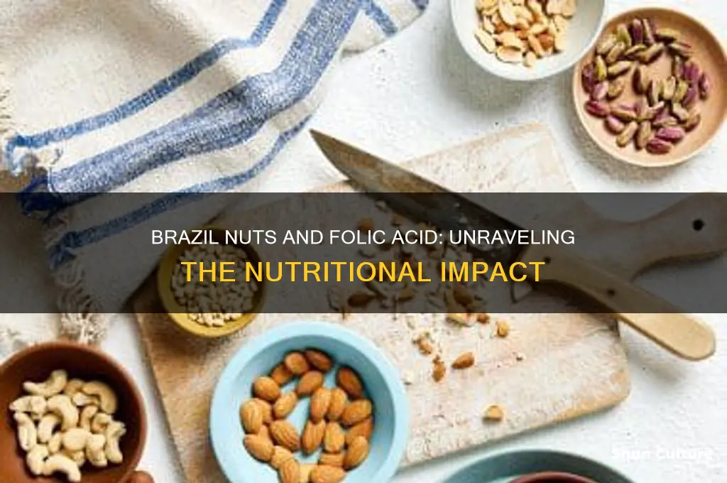 does brazil nut lower folic acid