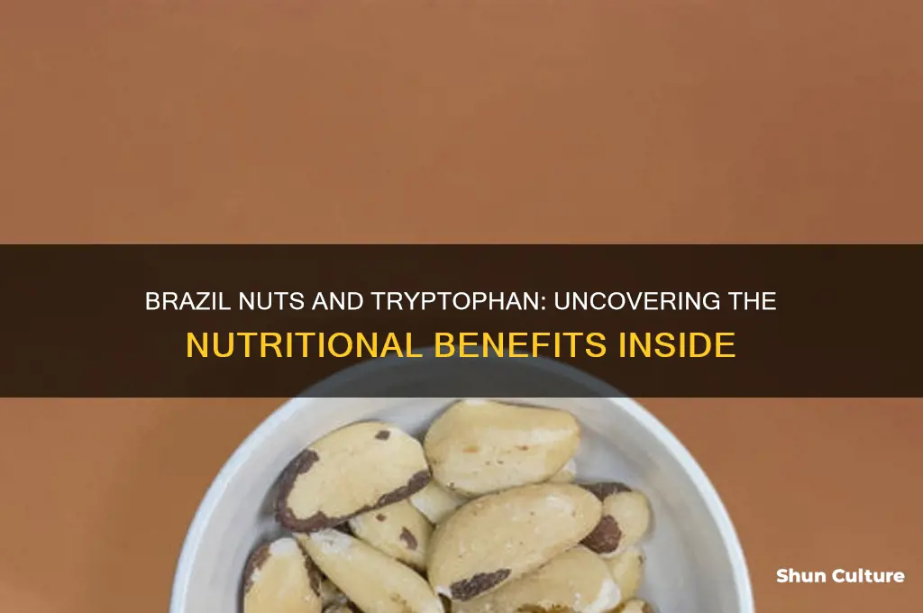does brazil nuts have tryptophan